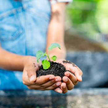 Агротехнологические классы в общеобразовательных организациях - fgospostavki.ru - Нижневартовск