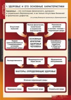 Комплект таблиц. ОБЖ. Здоровый образ жизни. - fgospostavki.ru - Нижневартовск