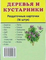 Раздаточные карточки "Деревья и кустарники" - fgospostavki.ru - Нижневартовск