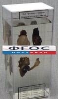 Влажный препарат "Внутреннее строение брюхоногого моллюска" - fgospostavki.ru - Нижневартовск