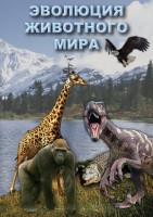 DVD "Эволюция животного мира" - fgospostavki.ru - Нижневартовск