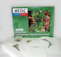 Гербарий "Основные группы растений" (52 листа) - fgospostavki.ru - Нижневартовск