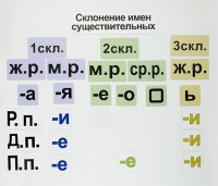 Набор магнитных карточек "Склонение имен существительных" - fgospostavki.ru - Нижневартовск
