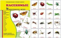 Демонстрационные карточки "Насекомые" - fgospostavki.ru - Нижневартовск