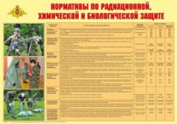 Плакат "Нормативы по радиационной, химической и биологической защите" - fgospostavki.ru - Нижневартовск