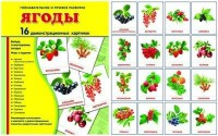 Демонстрационные карточки "Ягоды" - fgospostavki.ru - Нижневартовск
