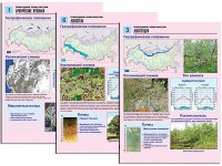 Комплект таблиц по географии "Природные зоны России" раздаточные (цветные, ламинированные, А4, 10 штук) - fgospostavki.ru - Нижневартовск