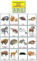 Раздаточные карточки "Дикие животные (1)" - fgospostavki.ru - Нижневартовск