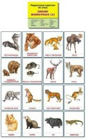 Раздаточные карточки "Дикие животные (2)" - fgospostavki.ru - Нижневартовск