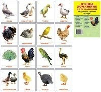 Раздаточные карточки "Птицы домашние и декоративные" - fgospostavki.ru - Нижневартовск