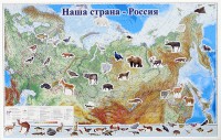 Магнитные карточки "Животные" - fgospostavki.ru - Нижневартовск