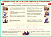 Таблица "Порядок действий при внезапной смерти" (100х140 сантиметров, винил) - fgospostavki.ru - Нижневартовск