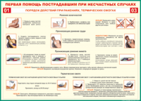 Таблица "Порядок действий при ранениях и термических ожогах" (100х140 сантиметров, винил) - fgospostavki.ru - Нижневартовск