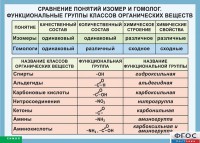 Таблица. Сравнение понятий изомер и гомолог. Функциональные группы классов органических веществ. - fgospostavki.ru - Нижневартовск