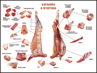 Таблица "Правила разделки мясных туш. Баранина и ягнятина" (100х140 сантиметров, винил) - fgospostavki.ru - Нижневартовск