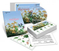 Комбинированное наглядное пособие «Растения» - fgospostavki.ru - Нижневартовск