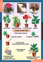Комплект таблиц. Окружающий мир 1 класс. - fgospostavki.ru - Нижневартовск