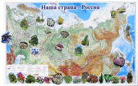 Магнитные карточки "Растения" - fgospostavki.ru - Нижневартовск