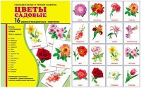 Демонстрационные карточки "Цветы садовые" - fgospostavki.ru - Нижневартовск