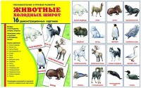 Демонстрационные карточки "Животные холодных широт" - fgospostavki.ru - Нижневартовск