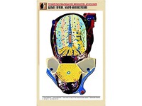 Рельефная таблица "Долька печени. Макро-микростроение" (формат А1, матовое ламинирование) - fgospostavki.ru - Нижневартовск