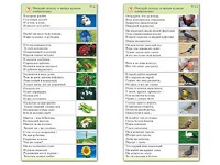 Комплект карточек (10) "Обучающий калейдоскоп. Природа" - fgospostavki.ru - Нижневартовск