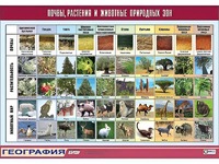 Таблица демонстрационная "Почвы, растения и животные природных зон" (винил 70*100) - fgospostavki.ru - Нижневартовск