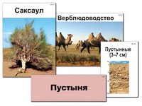 Модель-аппликация "Природные зоны России" (ламинированная) - fgospostavki.ru - Нижневартовск