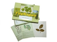 Гербарий "Дикорастущие растения" (30 видов, с иллюстрациями) - fgospostavki.ru - Нижневартовск