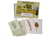 Гербарий "Лекарственные растения" (22 вида с иллюстрациями) - fgospostavki.ru - Нижневартовск