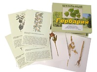 Гербарий "Систематика растений. Семейство Бобовые. Злаки" (раздаточный) - fgospostavki.ru - Нижневартовск