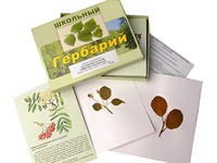 Гербарий "Систематика растений. Семейство Розоцветные" (раздаточный) - fgospostavki.ru - Нижневартовск