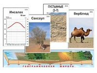 Модель-аппликация "Природные зоны" - fgospostavki.ru - Нижневартовск