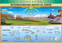 Таблица "Возникновение жизни на земле" (100х140 сантиметров, винил) - fgospostavki.ru - Нижневартовск