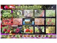 Комплект оборудования "Живой уголок" (растения) с тифлопереводом и сурдокомментариями - fgospostavki.ru - Нижневартовск