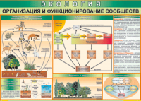 Таблица "Организация и функционирование сообществ" (100х140 сантиметров, винил) - fgospostavki.ru - Нижневартовск