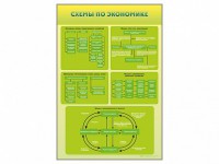 Стенды "Схемы по экономике" - fgospostavki.ru - Нижневартовск