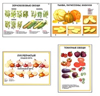 Плакаты ПРОФТЕХ "Ассортимент овощных культур" (12 пл, винил, 70х100) - fgospostavki.ru - Нижневартовск