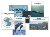 Модель-аппликация "Океаны. Знакомство" (ламинированная) - fgospostavki.ru - Нижневартовск