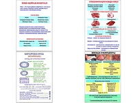 Плакаты ПРОФТЕХ "Классификации и виды мяса" (4 пл, винил, 70х100) - fgospostavki.ru - Нижневартовск