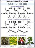 Комплект демонстрационных таблиц по химии "Полимеры" (комплект 12 таблиц) - fgospostavki.ru - Нижневартовск
