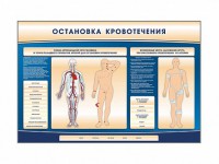 Электрифицированный стенд-тренажер "Остановка кровотечения" - fgospostavki.ru - Нижневартовск