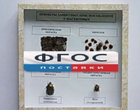 Коллекция энтомологическая "Примеры защитных приспособлений у насекомых" - fgospostavki.ru - Нижневартовск