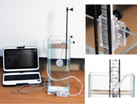 Набор демонстрационный «Гидростатика и плавание тел» - fgospostavki.ru - Нижневартовск