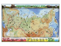 Электронно-информационный (маркерный) стенд "Природа России" - fgospostavki.ru - Нижневартовск