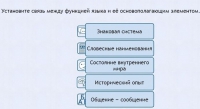 Интерактивные курсы. Русский язык 7 класс . Базовый. - fgospostavki.ru - Нижневартовск