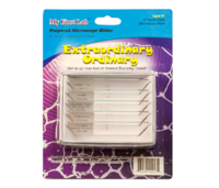 Набор микропрепаратов для микроскопа №3 «Необычное в обычном» - fgospostavki.ru - Нижневартовск