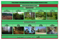 Стенд-планшет электрифицированный «Оценка пожарной опасности в лесах»  - fgospostavki.ru - Нижневартовск