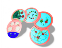 Тактильно-развивающая панель «Гусеница» - fgospostavki.ru - Нижневартовск