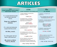 Стенд "Артикли" - fgospostavki.ru - Нижневартовск